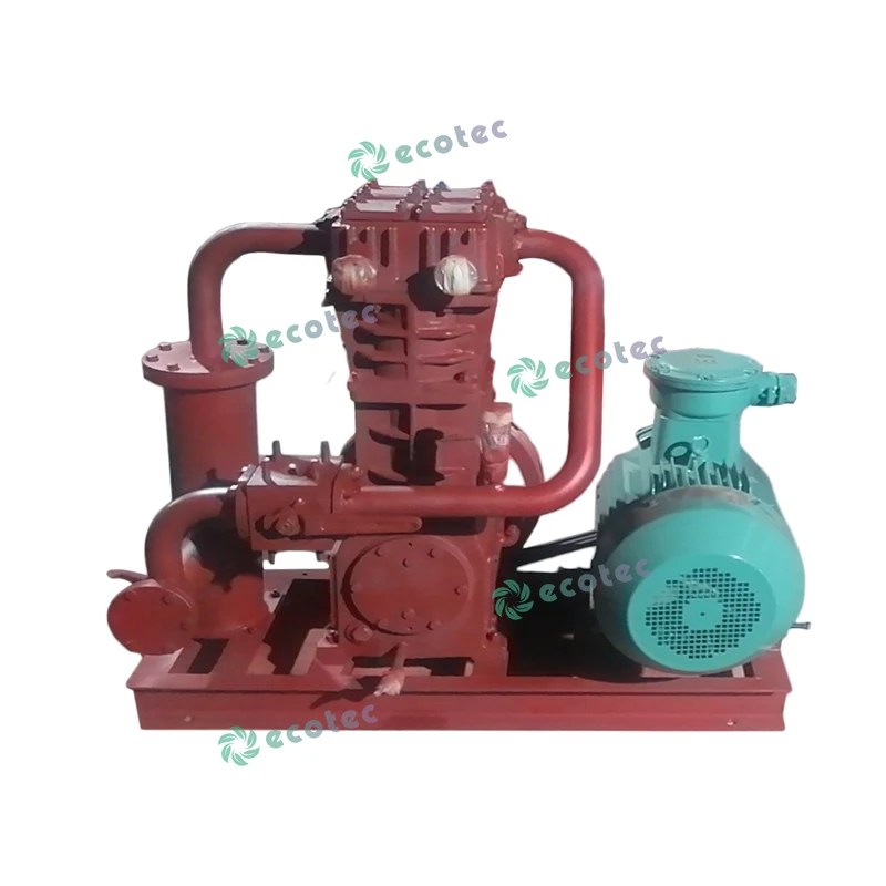 Ecotec ZW Series LPG Gas Compressor Hydrogen Compressor GAS LPG Compressor