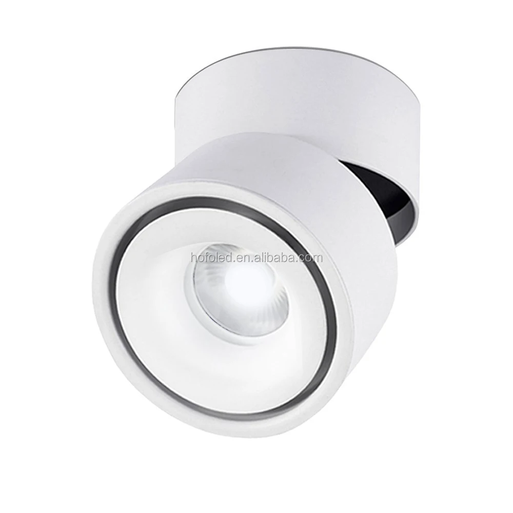 100mm 3inch Diameter Adjustable IP65 Surface Mounted LED Recessed Downlight 10W