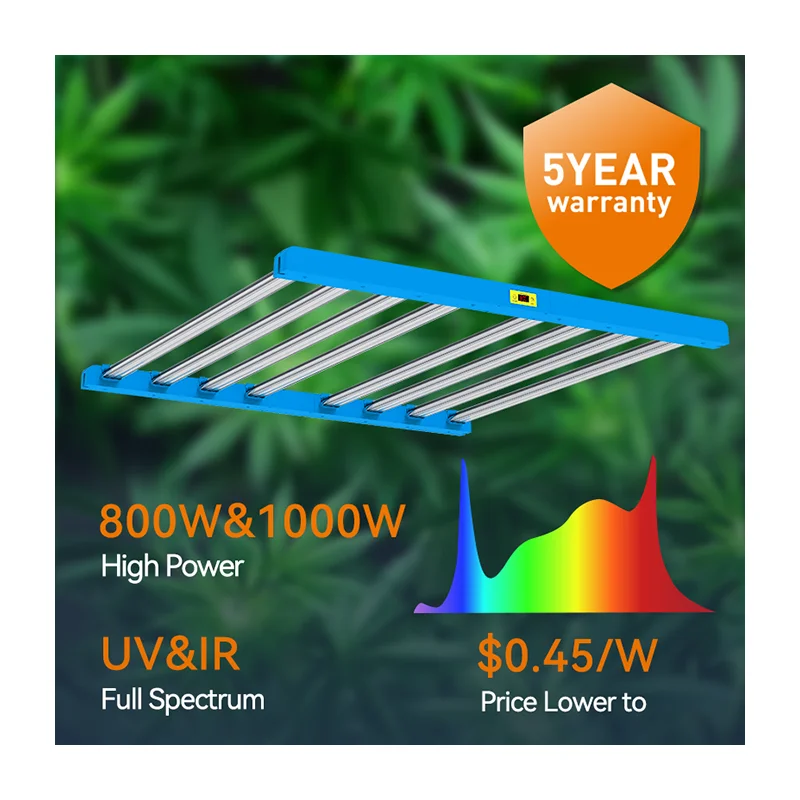 Grows 1000 Watt Tuning Meiju 240w Special Growing Kingbright Heavy Duty Led Grow Light