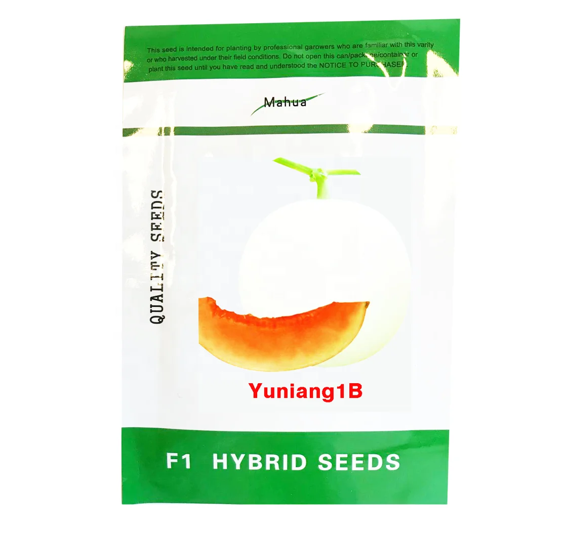 
F1 hybrid sweet melon seeds early mature white skin contains potassium, which helps transport oxygen to the heart, regulate the 