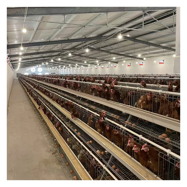 Автоматическое оборудование для птицефабрики горячего цинкования