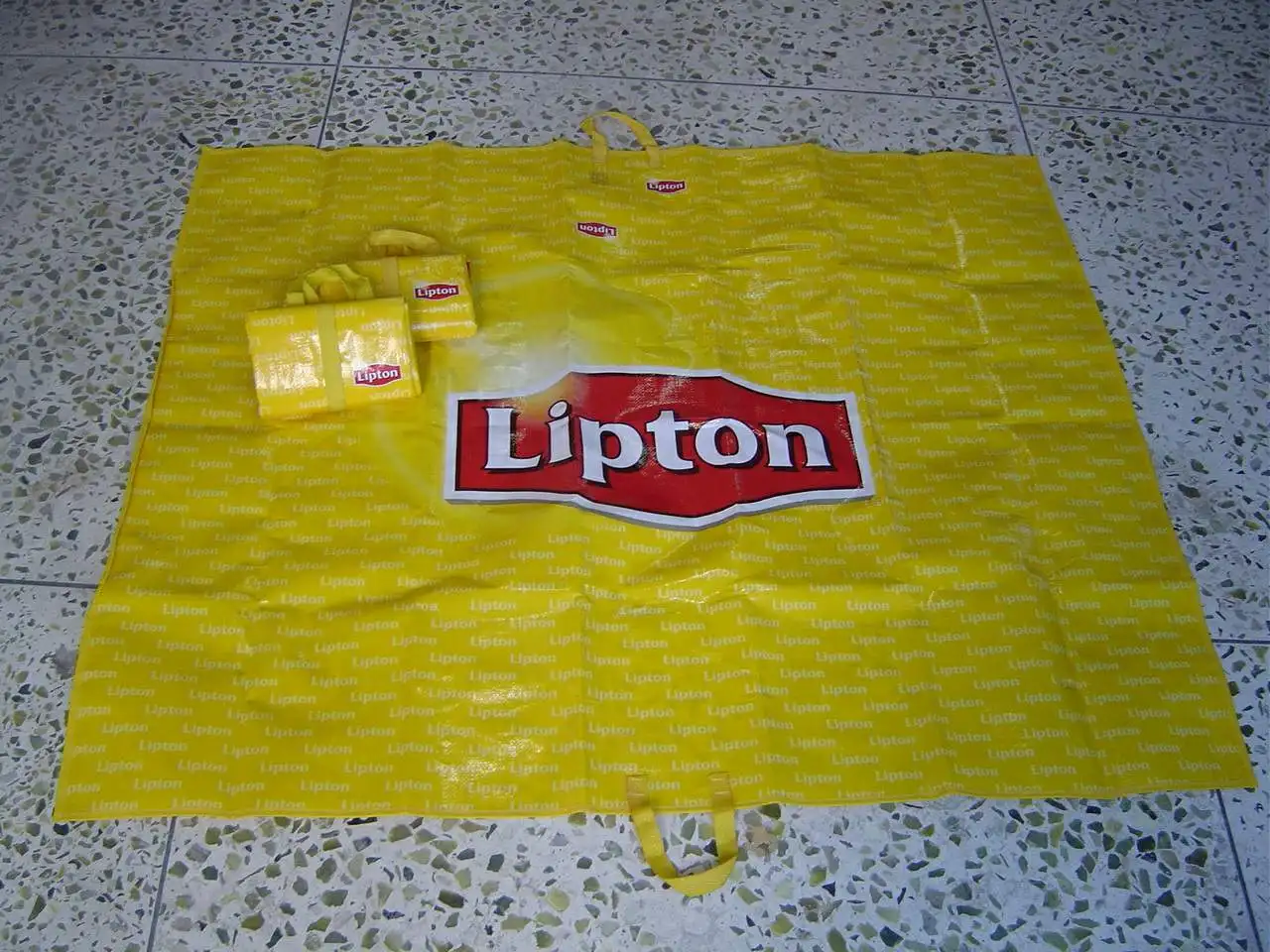 Wholesale High Quality Waterproof Custom Printed Outdoor Camping Folding PP Woven Plastic Beach Picnic Mat with shopping bags