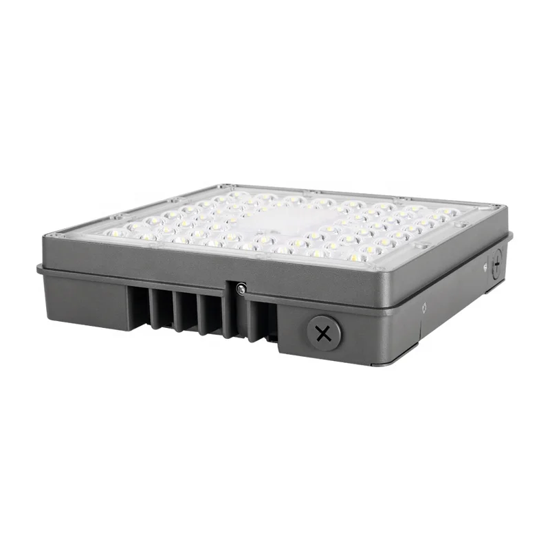 private mould SAA 120w lens canopy light led explosion proof flood light ip66 explosion-proof light for gas station workshop