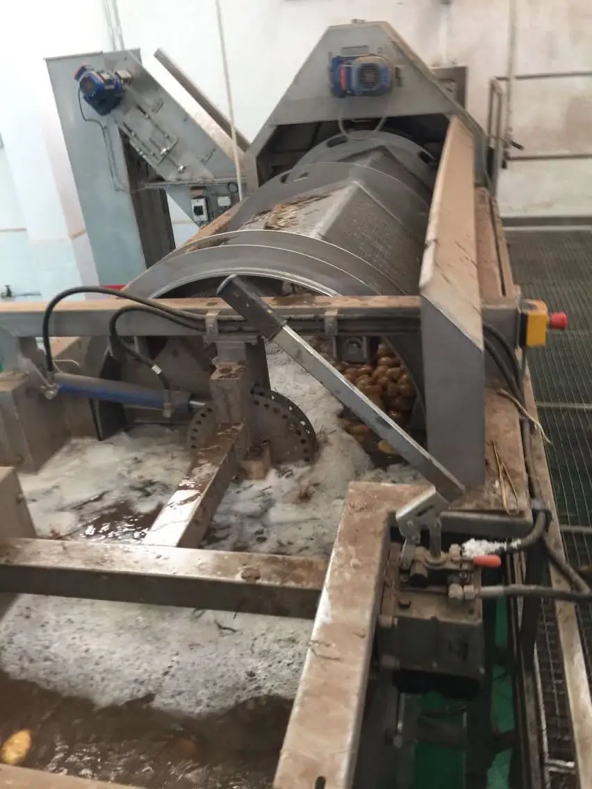 Full Automatic Frozen french fries machinery/French fry cutter equipment/Frozen french fries KFC High Productivity