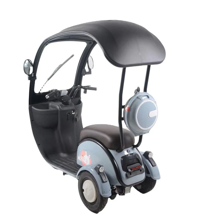Cute Design Three Wheel Electric Tricycles Drum Brake With Roof Popular Scooter