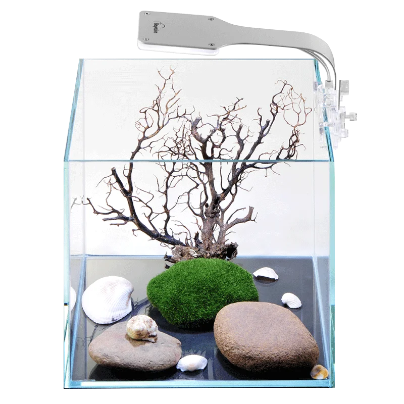 Aquarium High transparent glass fish tank    plants  light  for live  grass