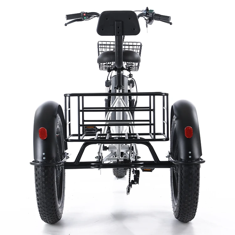 Safe and fast delivery 20 Inch  750W Motor Fat Tire 3 Wheel E Bike Tricycle  Adult Cargo Electric Bike With Basket