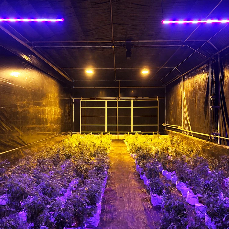 Vegetable Fruits Flowers Blackout light Deprivation Green House Plastic Film Tunnel Blackout Greenhouses for Medical