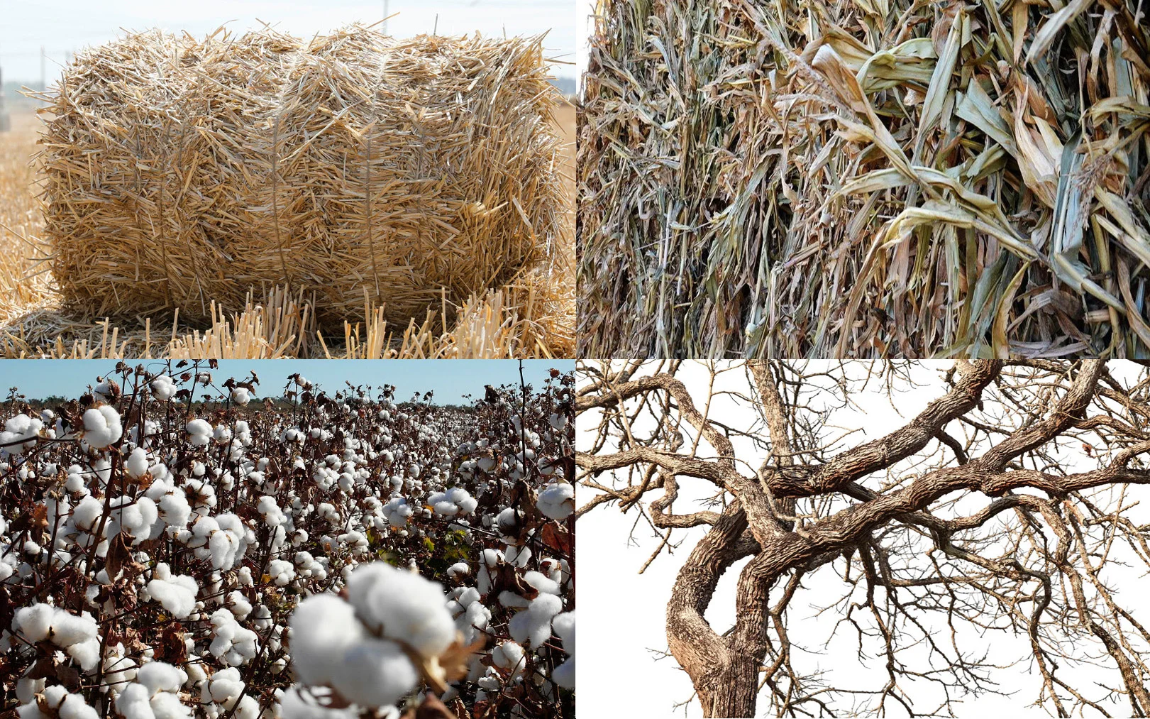 Straw bale crusher: an important tool to improve feed processing efficiencyStraw bale crusher