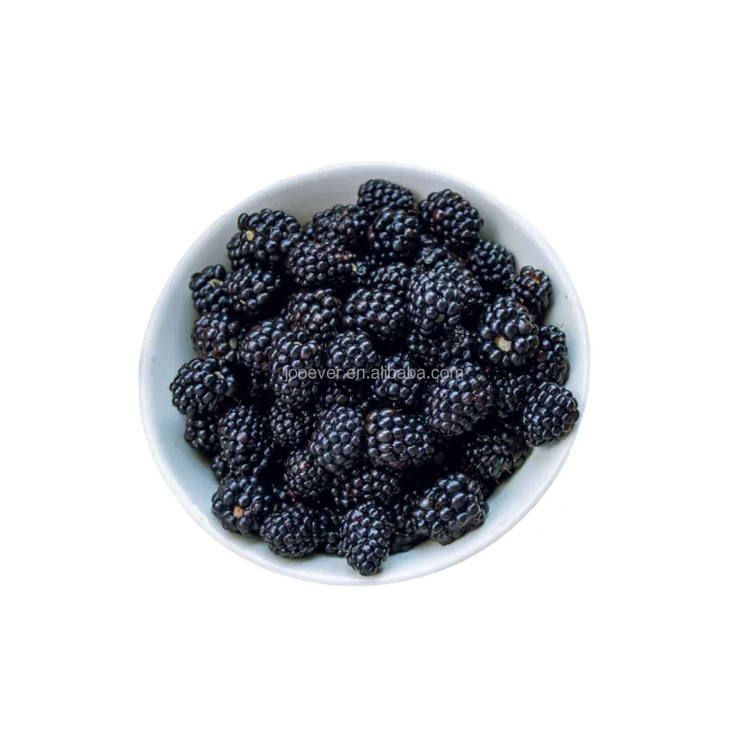 Good Taste IQF Frozen Blackberry in Bulk 100% Fruit Premium Quality