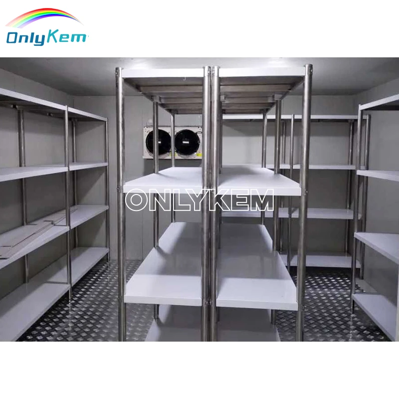 Cold Chamber Frozen Room Refrigerator Freezer Storage Room