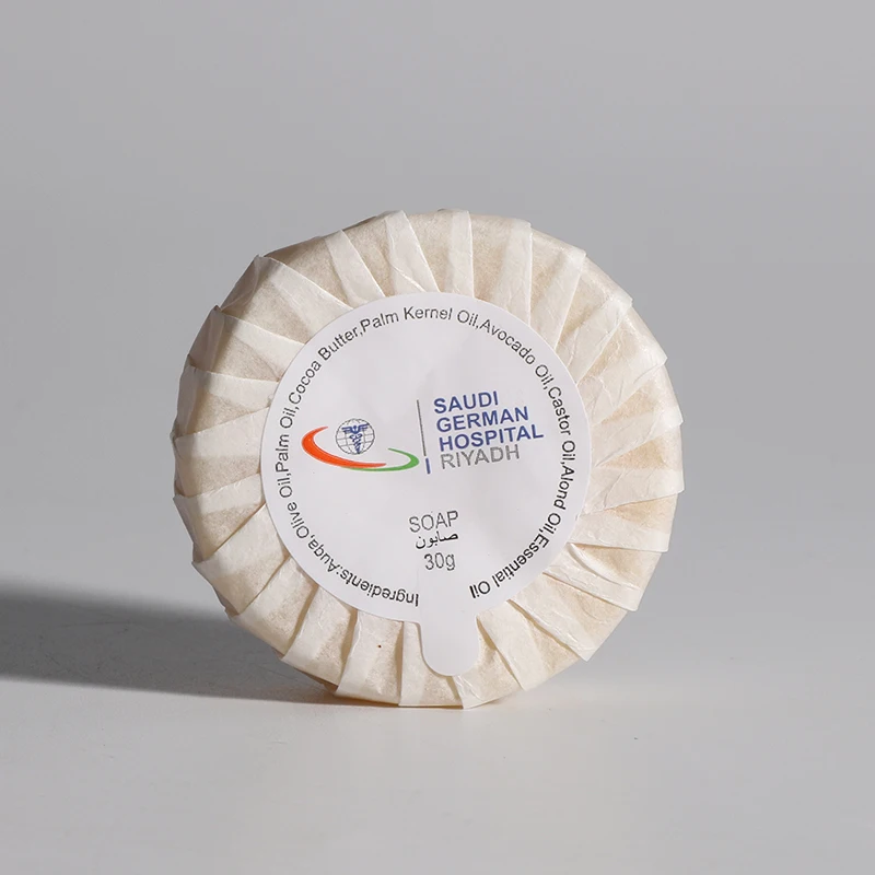 Bath Hotel Amenities Bar Soap Oem Mini Soap Disposable Hotel Shampoo Soaps and Toiletries Set
