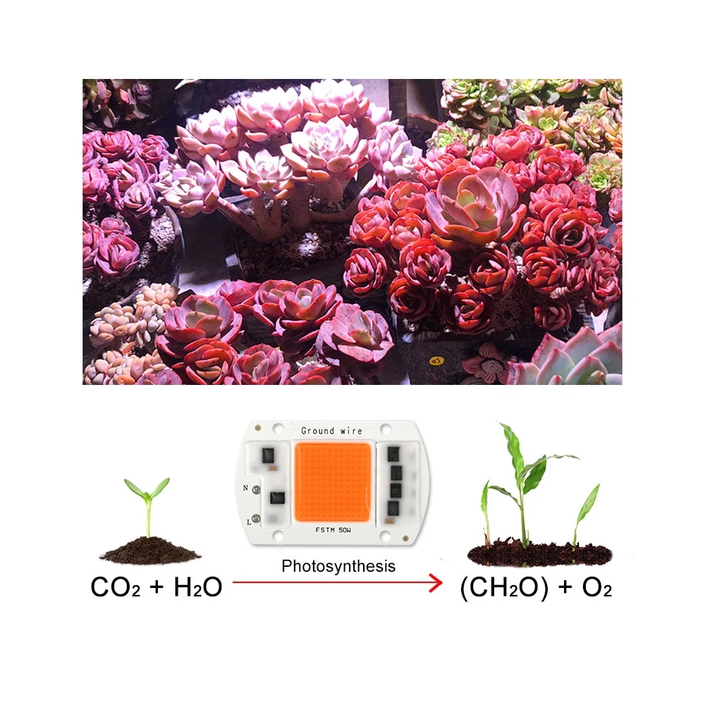 LED Grow Light Full Spectrum COB LED Chip AC 110V 220V No need driver Phyto Lamp For Indoor Plant Light Seedling Grow Lamp