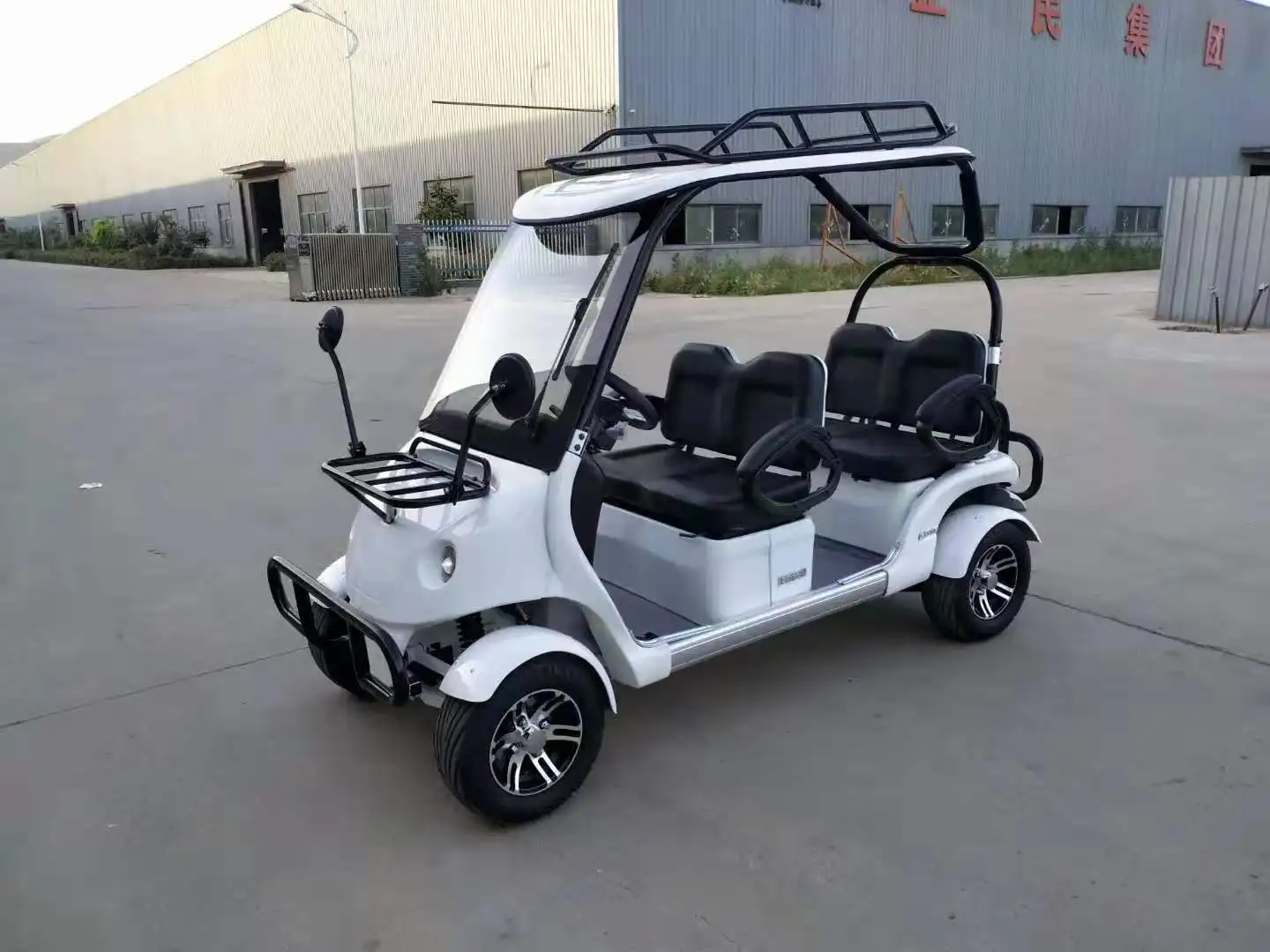 adult electric vehicle new energy car