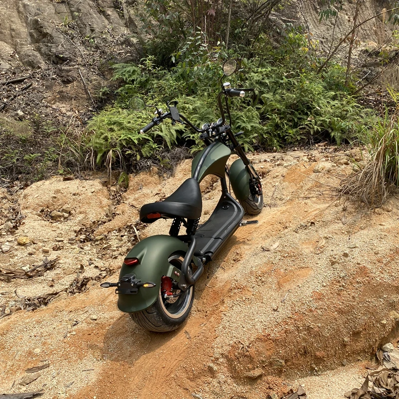 Eu Warehouse E Roller 60V 3000W COC 65kmh Fast Chopper Citycoco Electric Scooters