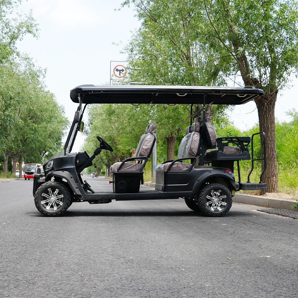 Professional Brand Electric Golf Buggy Cart with Meter High Quality Golf Carts