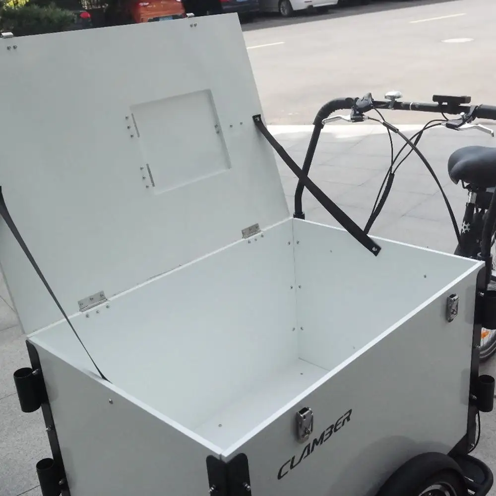 Electric cargo bike ice cream bike with front box loading for sale