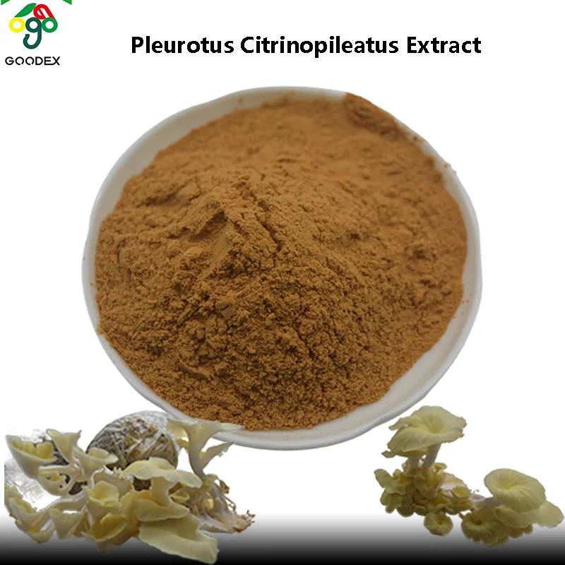 New Product High Quality Pleurotus Citrinopileatus Extract  Health and Food