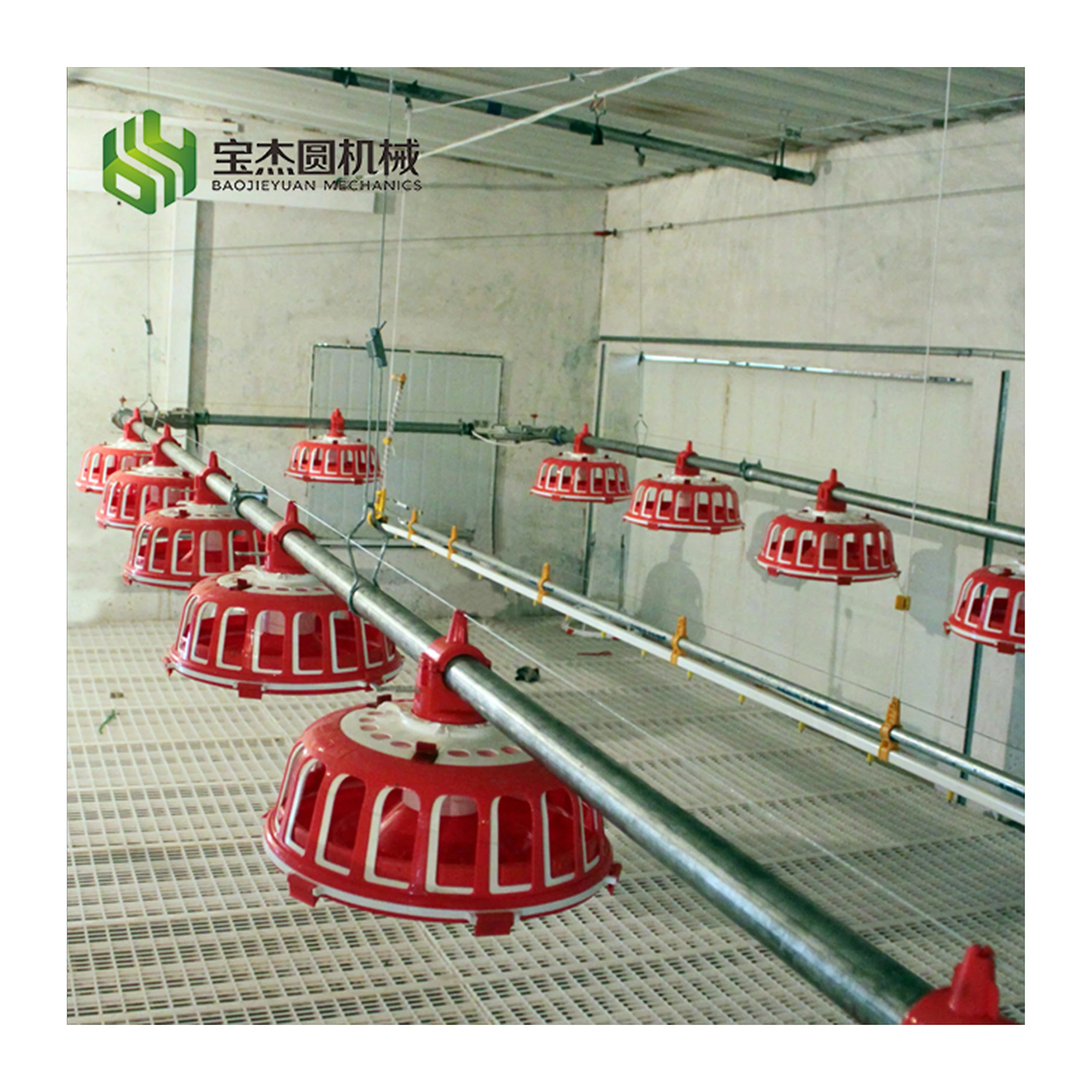 Broiler Breeder Raising Growing Equipment System Plant Line Layer Farm Poultry for Chicken House