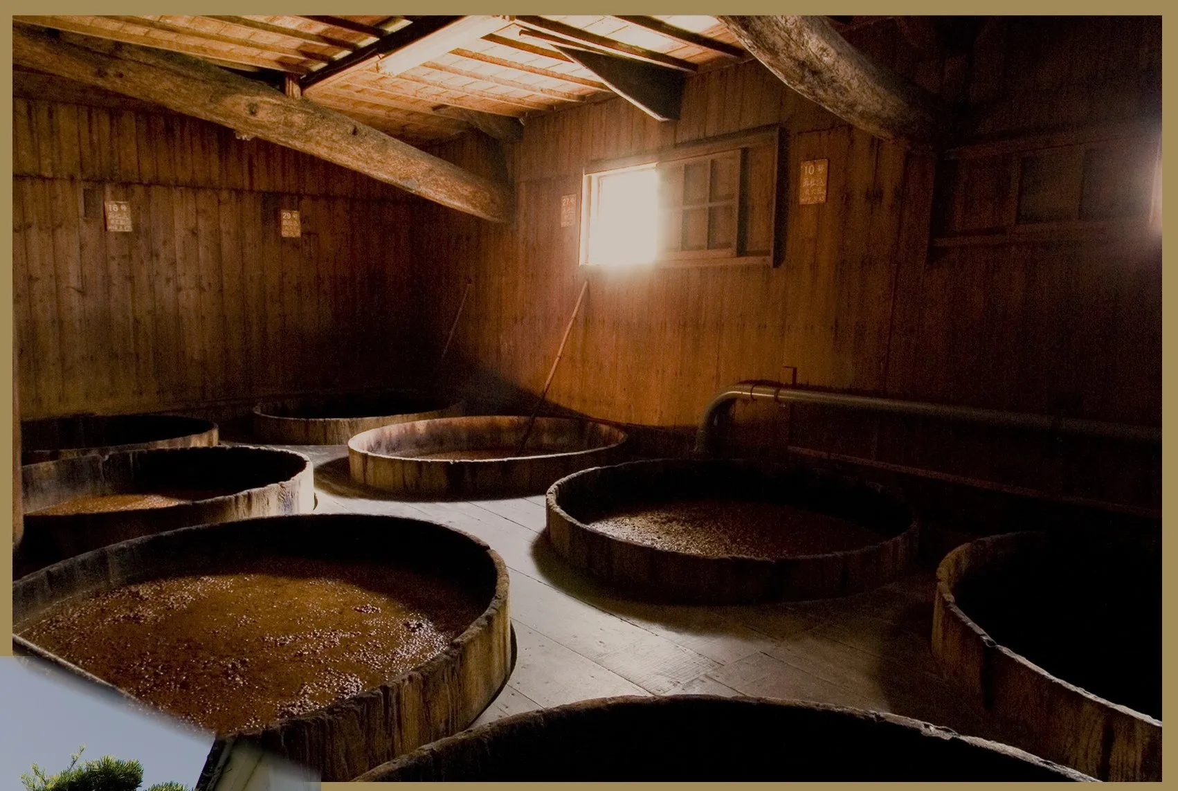 Japan golden colored authentic flavor sweet premium light dip soy sauce