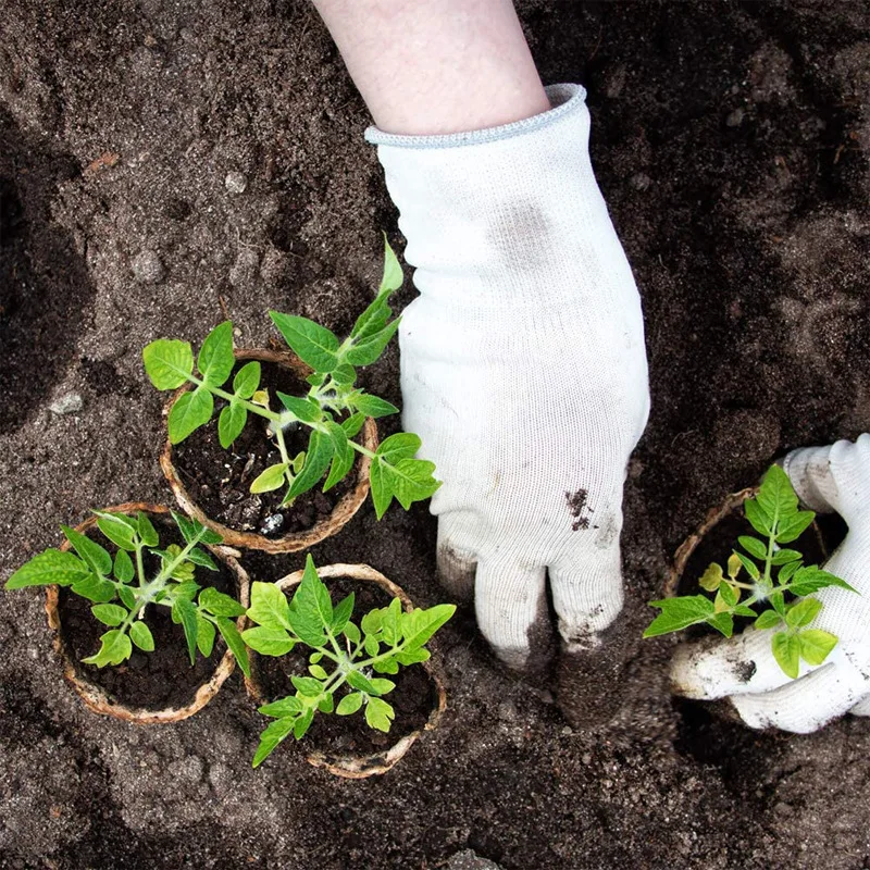 Garden Biodegradable Nursery Seeding Starter Tray Plant Cultivation Cup Peat Germination Pot Seedling Trays