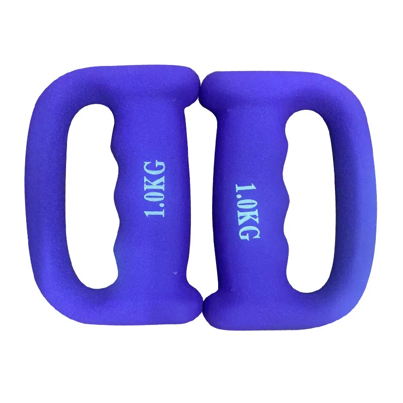 Lady Fitness Solid Cast Iron Dumbbell for Home Gym Exercise High Quality Equipment with Durable Rubber Logo for Arm Workouts