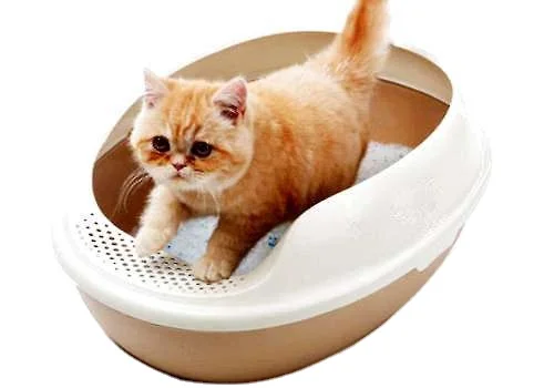 Crystal cat litter deodorization bulk pet adsorption deodorization silica gel cat litter large quantity discount