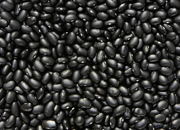 Wholesale High Quality Packing Organic Green Mung Bean Red Black soy Beans