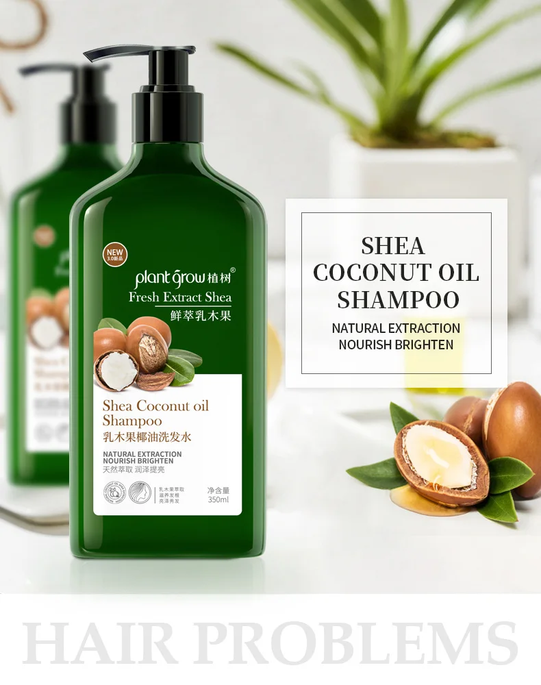 
private label natural organic hair care shampoo anti dandruff Shea butter coconut shampoo 