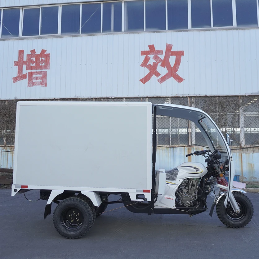 Китай YaoLong 3-колесный бензиновый мотоцикл 150cc 200cc 250cc взрослый трехколесный