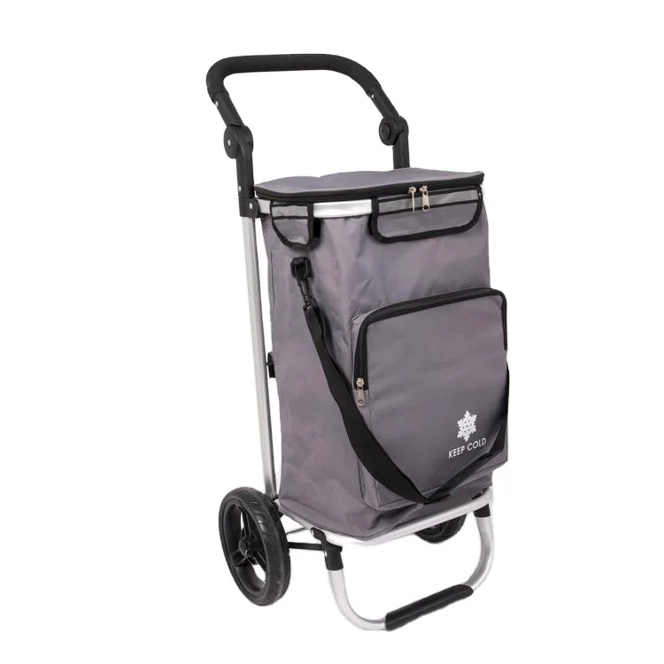 Factory Hot Sale Aluminium Alloy Foldable Shopping Cart Trolley 2 Wheels Shopping Mall Trolley