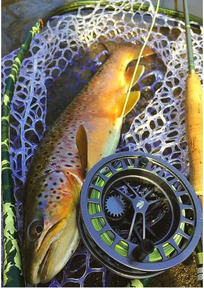 Fly Line WindCutter InTouch Single Hand Spey Floating Ultra Low Stretch Loading Zoom Welded Loops Line ID 90-100ft (B04)