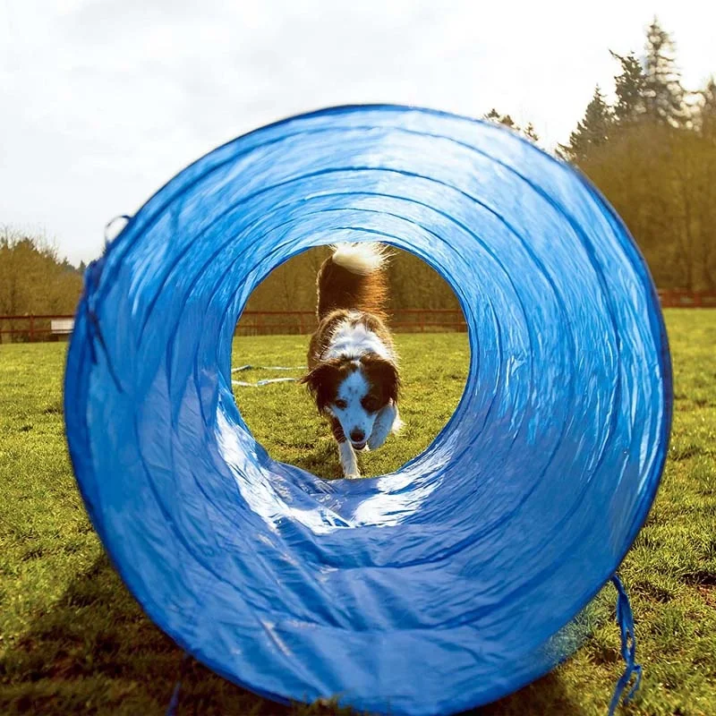 Dog Agility Training Equipment Custom Hot-selling Tunnel Poles Hurdles Exercise Pet Obstacle Course Agility Pet Training Set