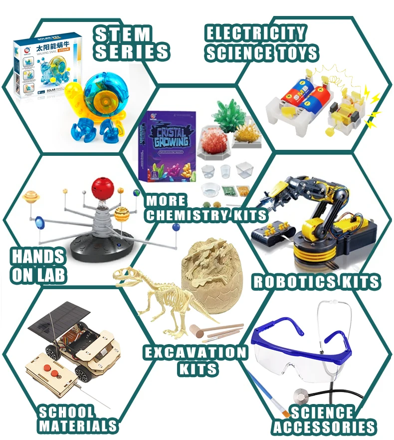 Factory Wholesale Science Discovery Experiment Kit Intelligent Go Sorter Model Wooden Jigsaw Puzzle for Kids.