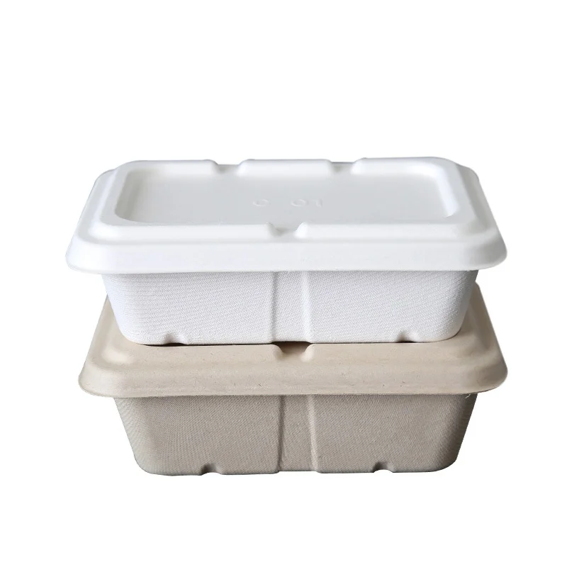 Disposable Takeaway Salad Box Bagasse Pulp Food Box 100% Biodegradable Compostable Sugarcane Container With Lid