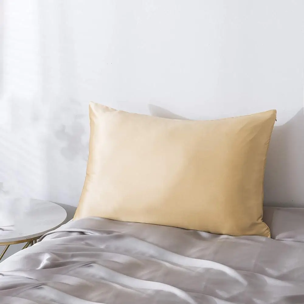 Pure natural mulberry silk 19MM pillowcase