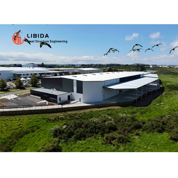 Cheap Steel Commercial Building Warehouse Price Steel Structure Hangar