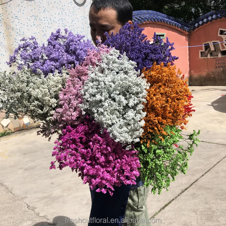 Factory supply preserved flower Preserved Sea Lavender flower Limonium dry crystal grass from Kunming Rainbow