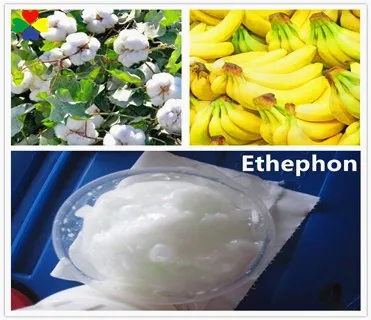 Регулятор роста растений Ethephon 90% tc 85% tc 40% sl