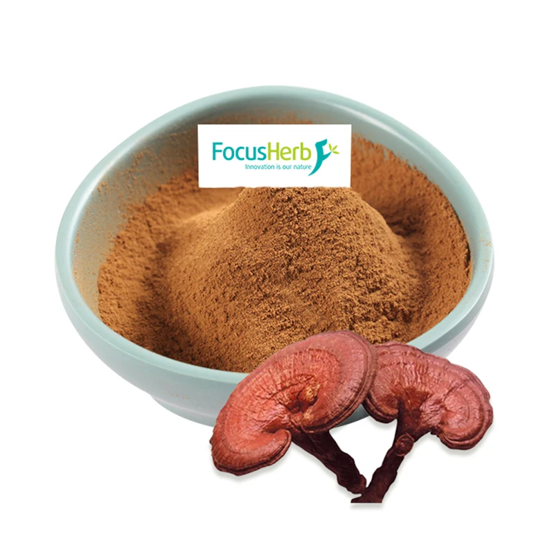 
FocusHerb pure ganoderma lucidum polysaccharide extract 