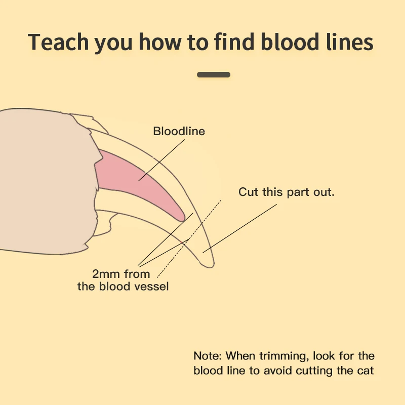 Factory Wholesale Custom Logo Dog Nail Scissors Cat Nail Cutter Pet Nail Clippers Pet Grooming Tools