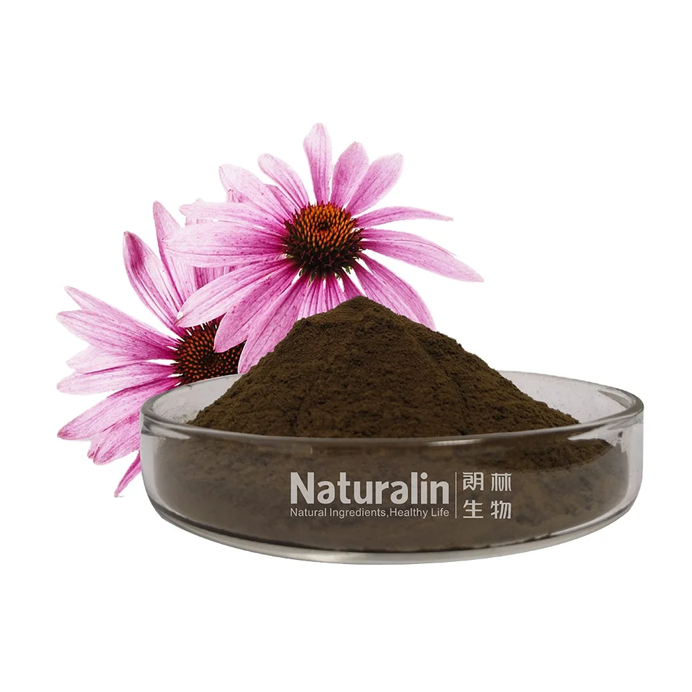 Naturalin  High Quality Echinacea Purpurea (Linn.) Moench Plant Extract 4% Polyphenols UV Tested Echinacea Extract