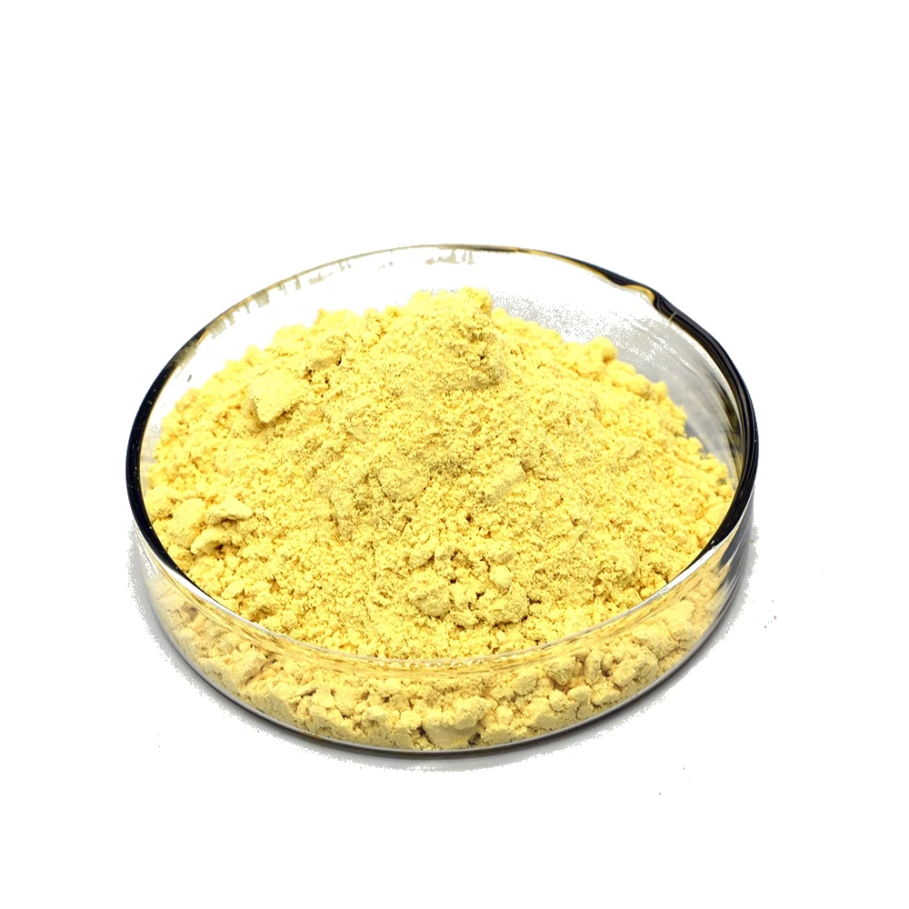 Factory CAS 153-18-4 Rutin Powder 95% Rutin