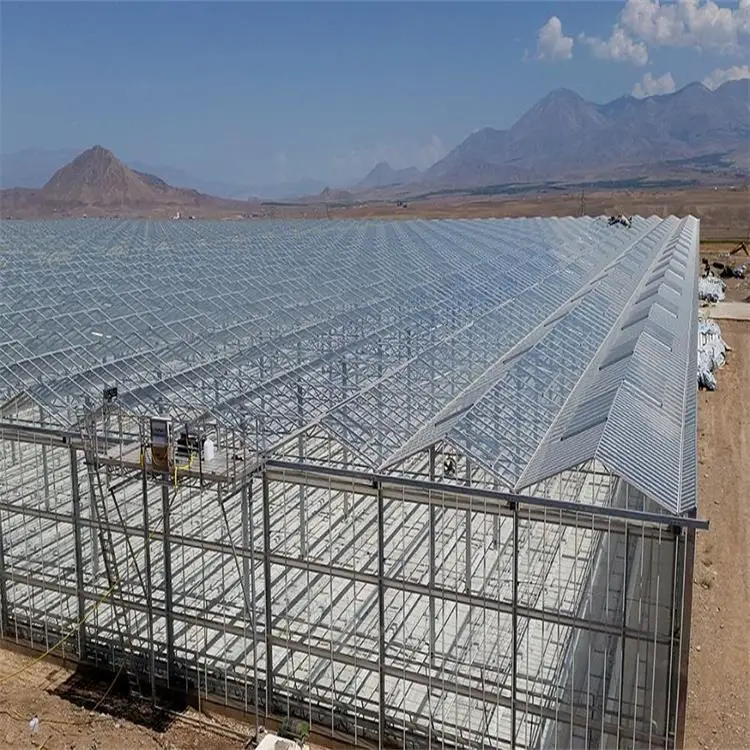 Automatic Glass Greenhouse Strawberry Picking Garden Greenhouse Solar Panel Greenhouse