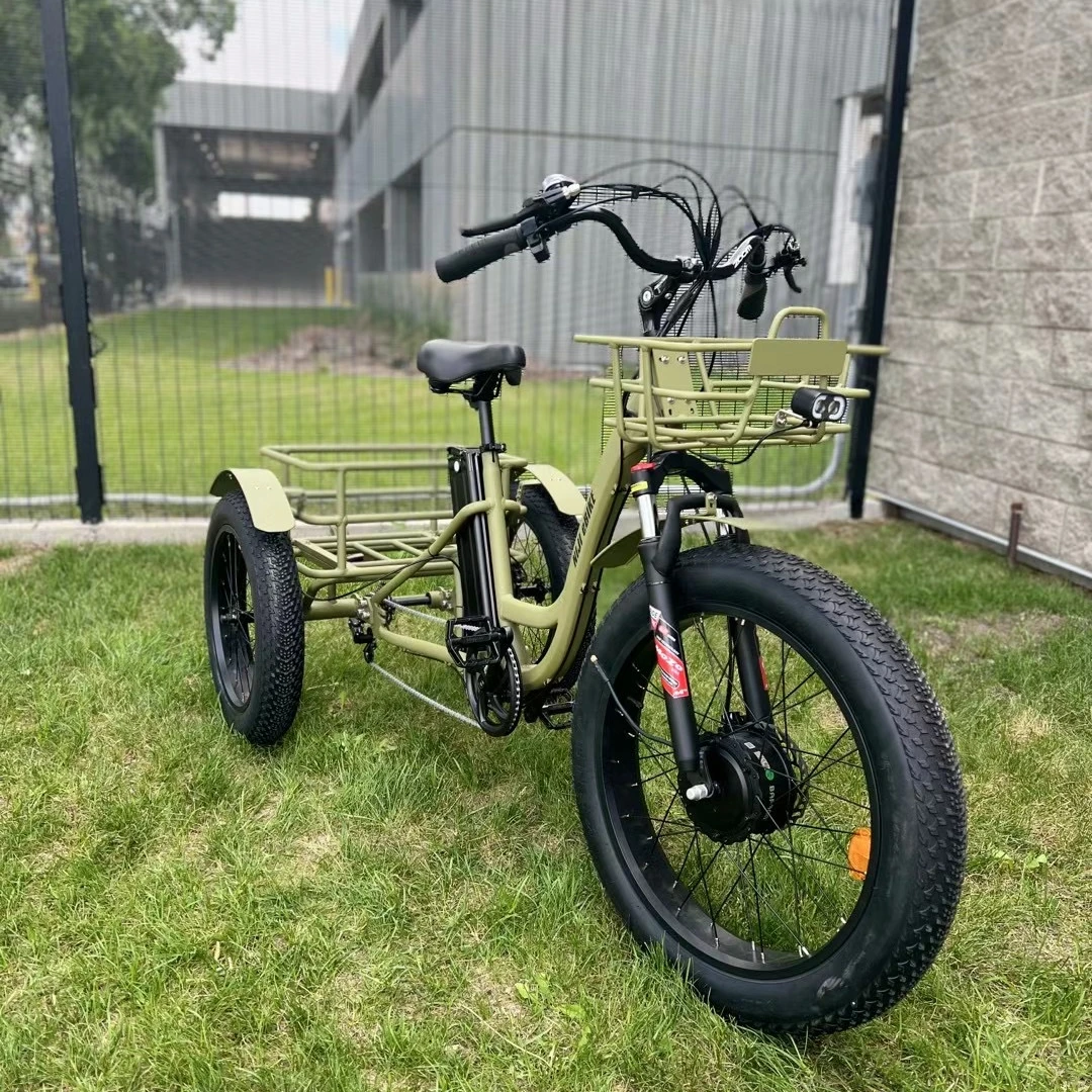 3 wheel cargo bike food delivery for adult fast tricycle cargo bike front motor electric cargo bike express