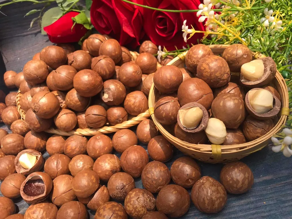 High Quality Organic Macadamia Nuts Ready-Eat Dried Shell Sweet Milky Flavor Hand Squeezed Yummy Snack Roasted Dried Fruit