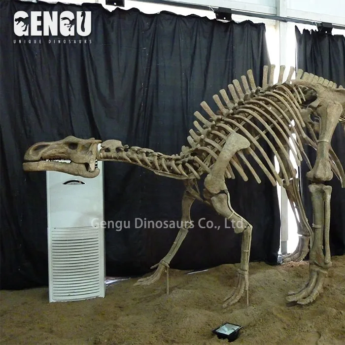 Diy Dinosaurs Skeleton Plastic Dinosaur Skeleton Replicas