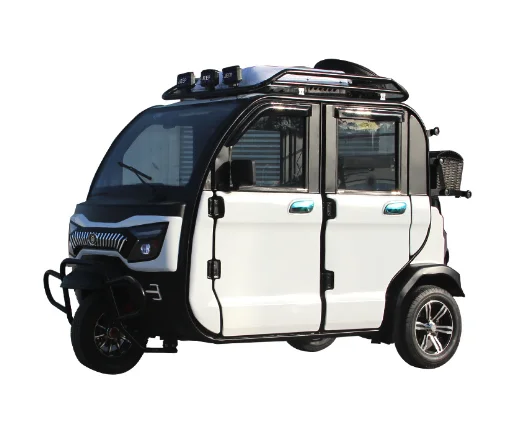 cheap adult handicapped tricycle for sale in philippines