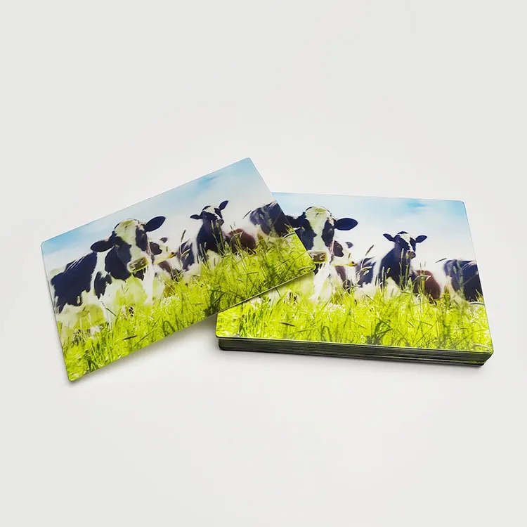 Sedex Audit Factory Supply Good Quality Custom Print Eco-friendly Plastic Lenticular 3D Holographic Postcard