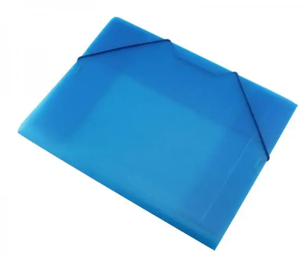 Plastic Expanding File Folder Document Organizer With Elastic Cord and Button Closure Expansion Expandable Wallet